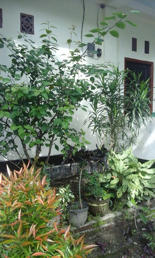 Pedek Homestay Praya Luaran gambar